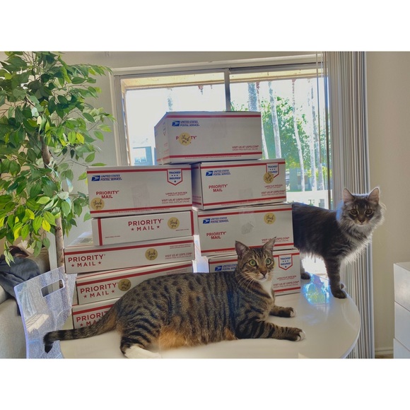 𝑴𝒆𝒆𝒕 𝑻𝒉𝒆 𝑷𝒐𝒔𝒉𝒆𝒓 ♡ - Picture 10 of 12